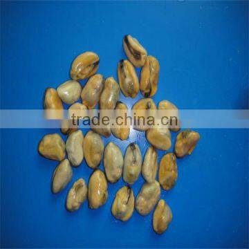 freshwater mussel meat(200-300)