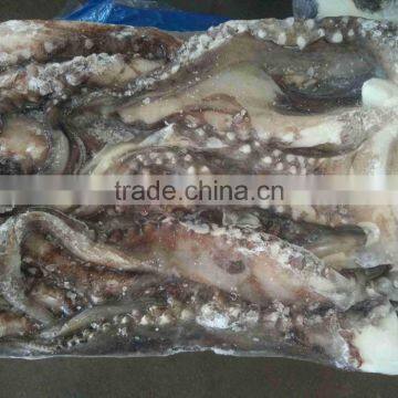 High Quality Wholesale Frozen Vietnam Squid With Best Price photo-2
