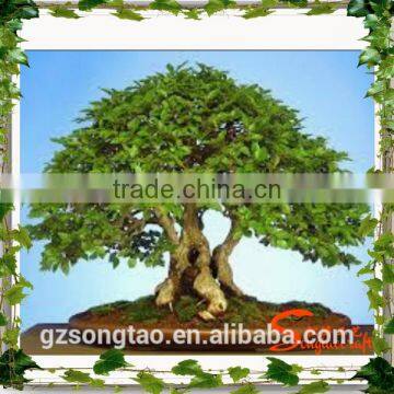 Grotesque or Fantastic in Shape or Appearance , Artificial Pot Manufacturing Plants for Wholesale photo-3