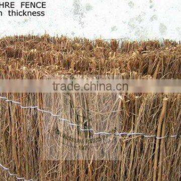 brushwood fences