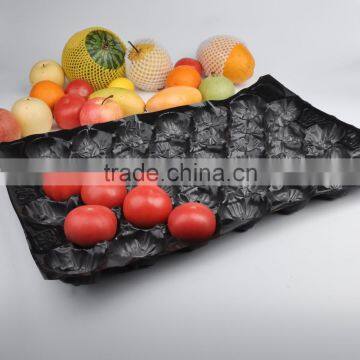 Popular Wholesale Texas USA Promotion High Grade Black Blue Color 5LB Tomato Insert Tray