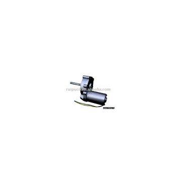 DC Gear motor RP-FR1-120