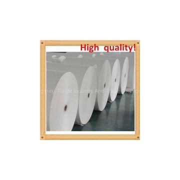 PE Coated Paper In Roll