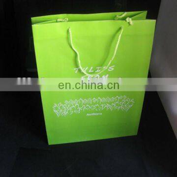 Customized Eco-friendly Stylish plastic Advertisement Bag/Shopping Bag