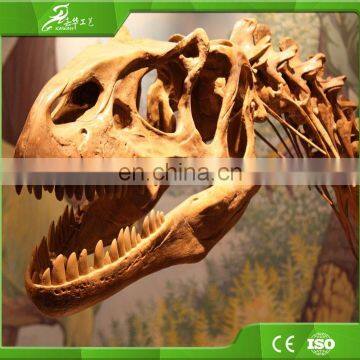 Amusement Playground Theme Park Life Size Dinosaur Skeleton for Display photo-3