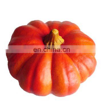 10 Inch Diameter Polyfoam Pumpkin Thanksgiving Pumpkin for Home Decoration
