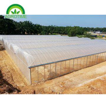2019 High Strength Multispan Vegetables Greenhouse With Plastic Film for Sale photo-4