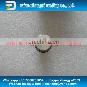 100% original Pressure Relief Valve 1110010013