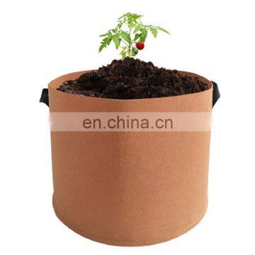 Seedling 5 Gallon Round Felt Grow Bag photo-3