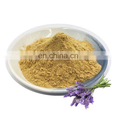 Factory Supply Natural Lavender Extract Powder