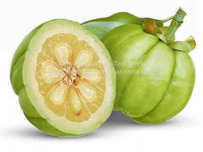 Garcinia Cambogia P.E., Hydroxycitric Acid 50% HPLC, Garcinia Fruit Powder HCA 60%, Manufacturer, Yongyuan Bio