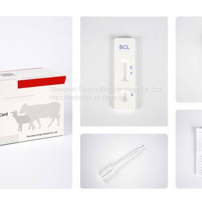 Bovine Sheep Brucellasis Antibody Rapid Test photo-3