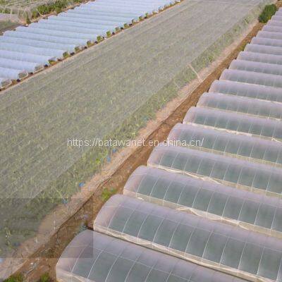HDPE Agriculture Anti Hail Net, White Protective Plastic Net, Plastic Net for Plant Trees, HDPE Tree Net photo-4