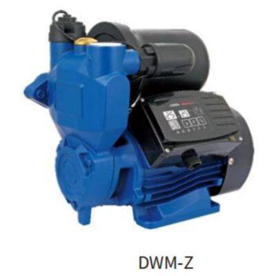 DWM-(Z) Series Peripheral Pumps photo-2