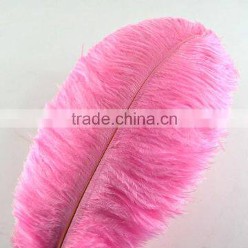 Carnival decoration Ostrich Feathers, White Plumes, Dyed 20-30 Inches High Quality