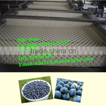 industrial blueberry sorter machine /grading machine/classifying machine