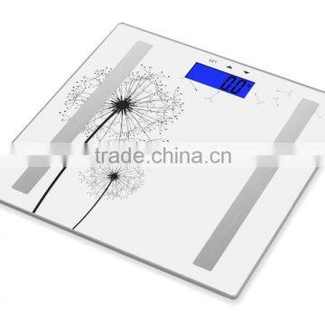 Body Fat Scale Please Inquiry if Our Product Can be Trust by You photo-3