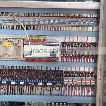 Vacuum Packing Machine for Smoked Chicken photo-3