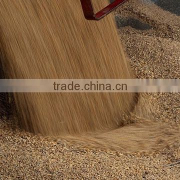 Barley (Malting & Feed Barley)