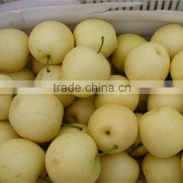 original used wholesale customizeable fresh pear