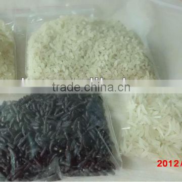 Artificial Rice Making Plant