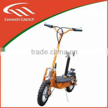 2 Wheel Electric Standing Scooter 1000W 36V/48V