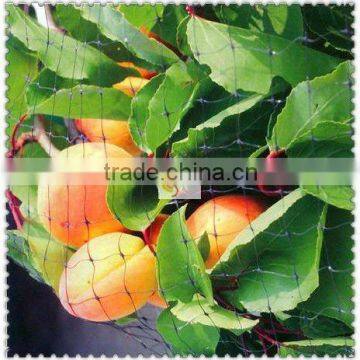 Extruded Nets, Plastic Netting, Garden Net