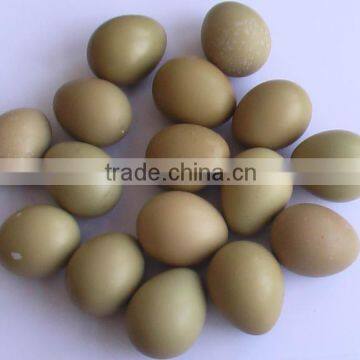 Leeho Brand Phasianus Colchicus Incubator Machine With50688 Eggs