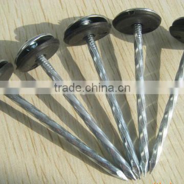 hot sales high quality galvanized umbrella roofing nail (China factory)