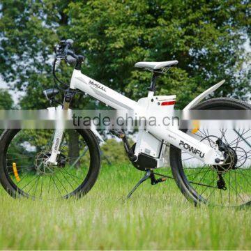 Seagull GL-China factory unique design EN15194 Bikes electric cargo bike