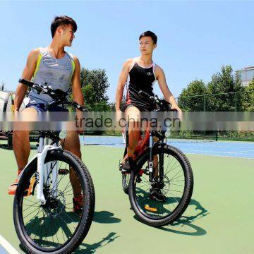 Haoling Seagull - Electric Bike Motor Mid Drive, Electric Motor Bike photo-5