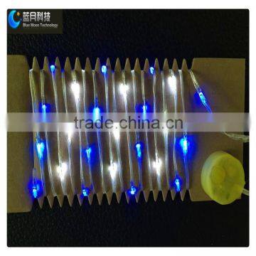 Best Price Button Battery Operated LED PVC Wire String Light