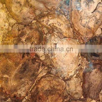 Luxury Natural Polished Big Slab Petrified Wood Fossil Semiprecious Stone Quality Choice