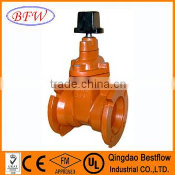 Cast Iron Valve