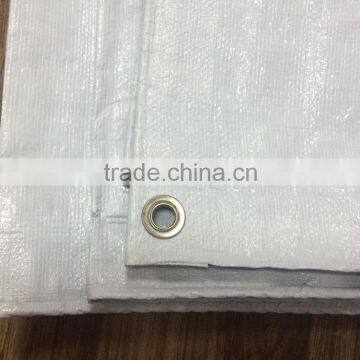 The Cheap 4*6m Plastic Tarpaulin and Blue White Tarpaulin Sheet of Any Specification pe Tarpaulin photo-3