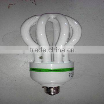 lotus electrical lamps