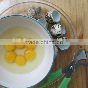 Quail Egg Cutter Stainless Steel Kitchen Abs Handle