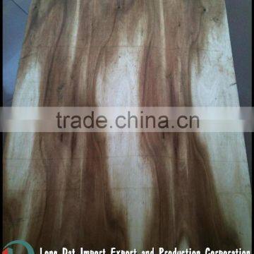 Core Veneer acacia or eucalyptus, 1.5-1.7mm thickness Vietnamese product for making plywood or other using