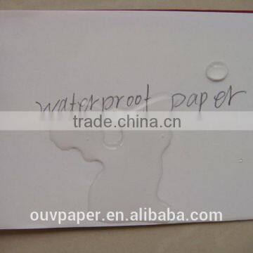 white board waterproof paper