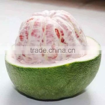 GRAPEFRUIT / POMELO/+84 984418844 whatsapp