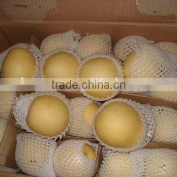 Huangguan Pear/ Crown Pear / Golden Pear photo-4
