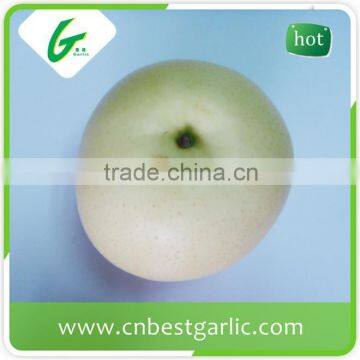 China bulk fresh crown pear for sale