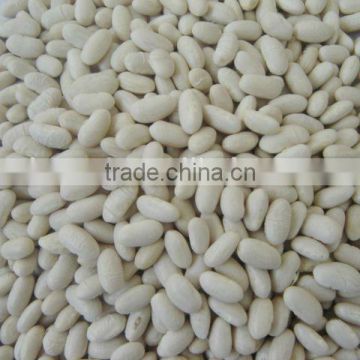 Kinds of Dry Kidney Beans