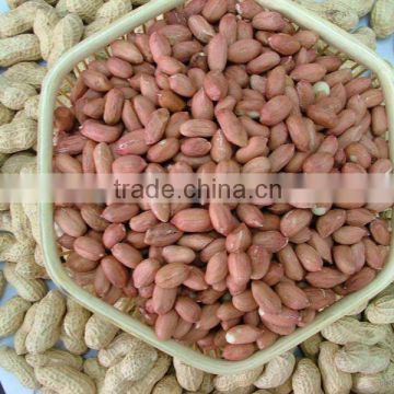 Vegetable seed,Peanut seed