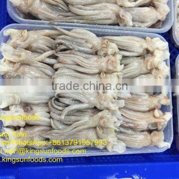 Wholesale Good Taste Todarodes Squid Tentacle