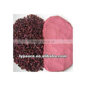 2012 popular dried beet powder for export