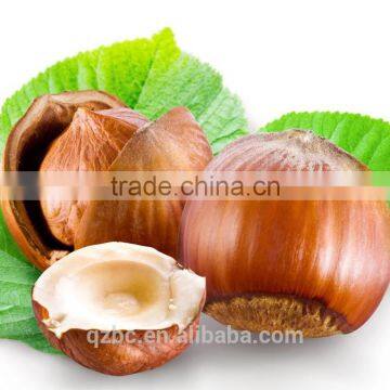 the king of nuts 100% pure and natural Corylus Avellana Seed filbert hazel hazelnut oil