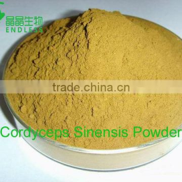 Natural Cordyceps Powder for Anti-fatigue