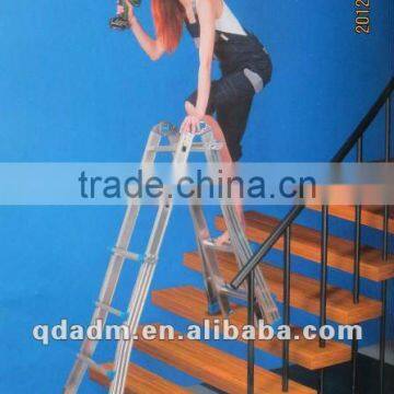 Scaffold Ladder