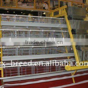 Wire mesh galvanized Hen Equipment for Uganda sale